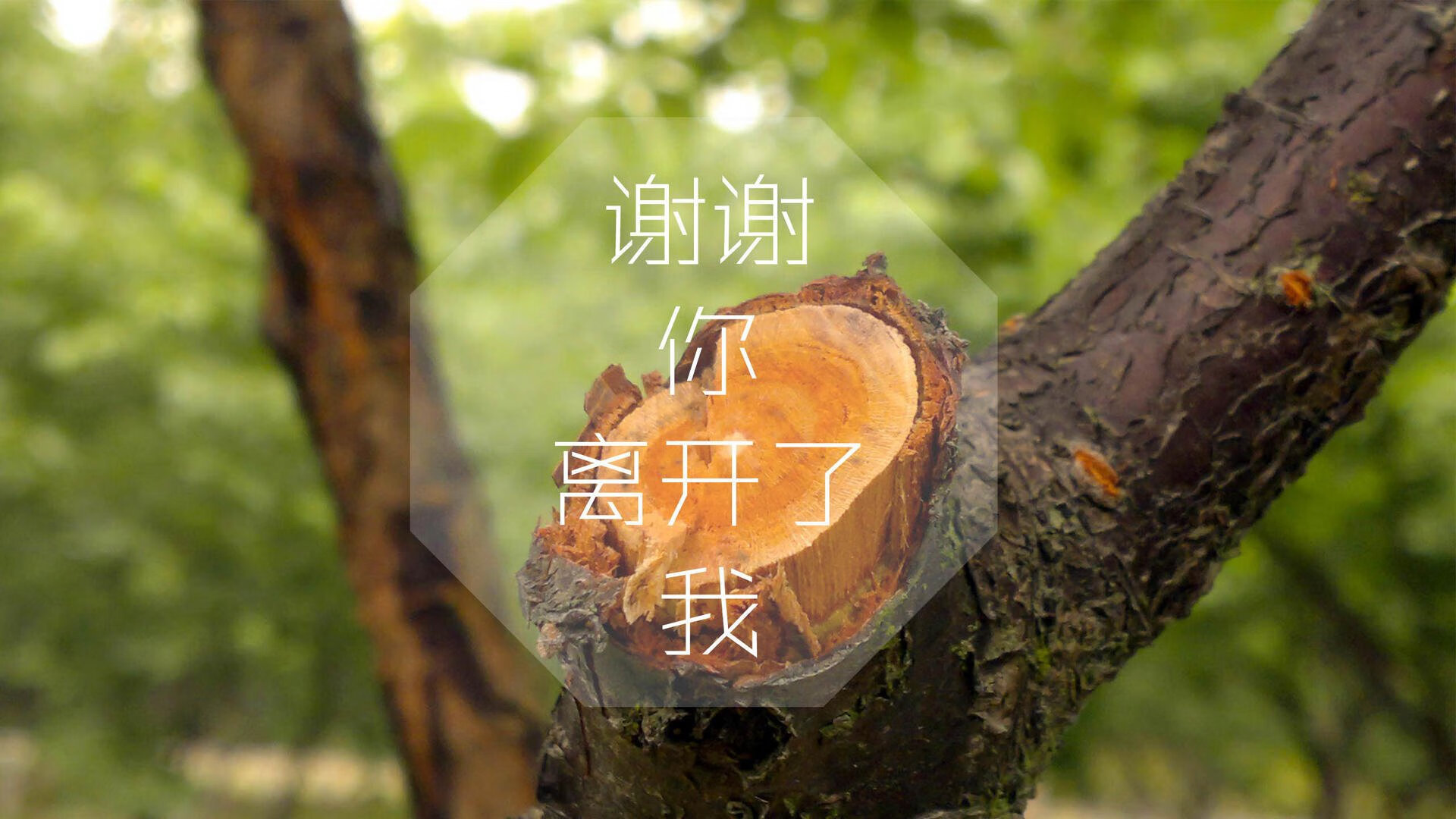 kaiyun开云·官方网站-台球比赛中的精彩瞬间回放，台球比赛精彩视频