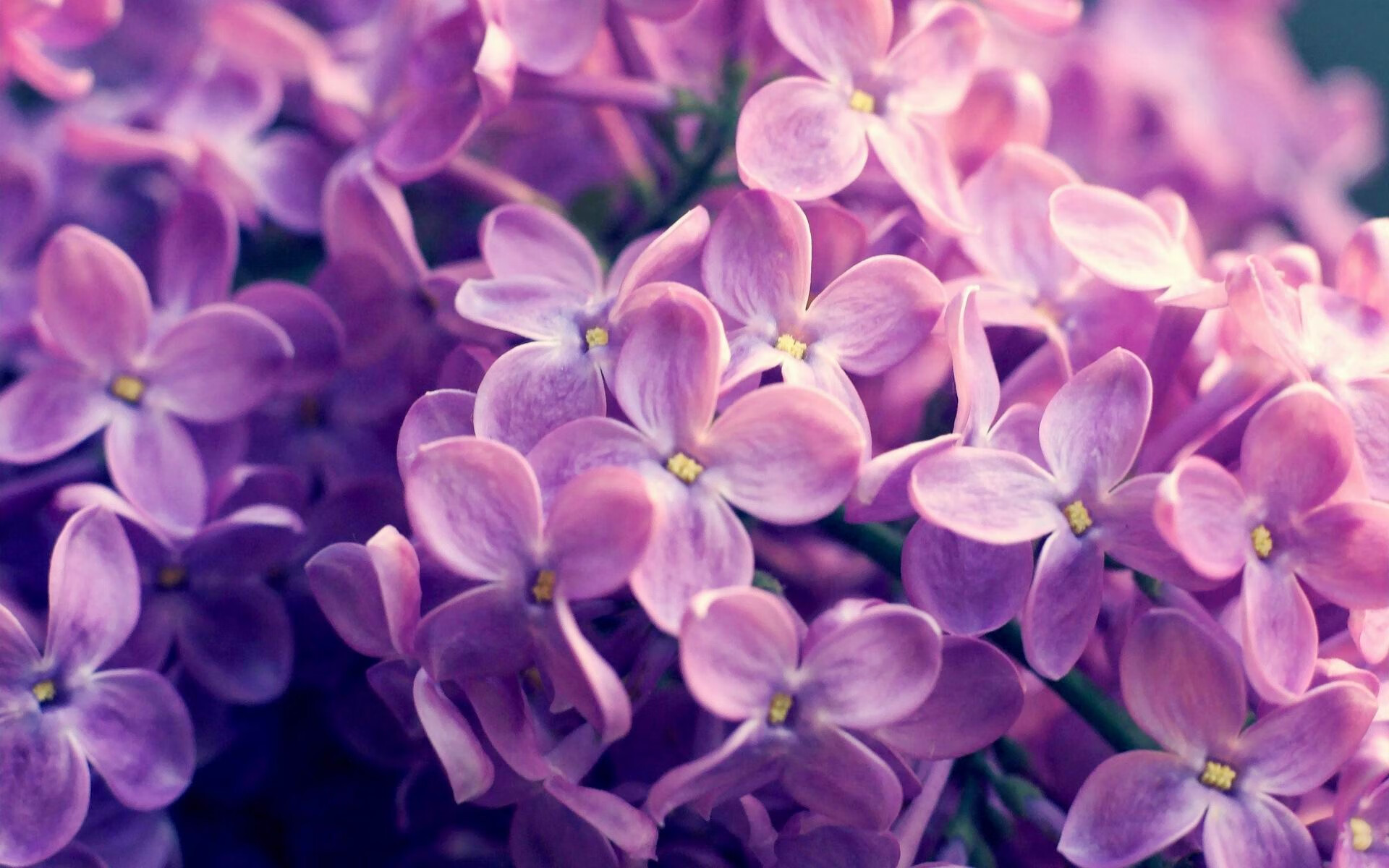 智能健身装备在训练中的应用探讨，智能健身装备在训练中的应用探讨论文