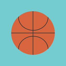 开云中国-篮球运动信息化管理平台设计与应用，篮球信息app