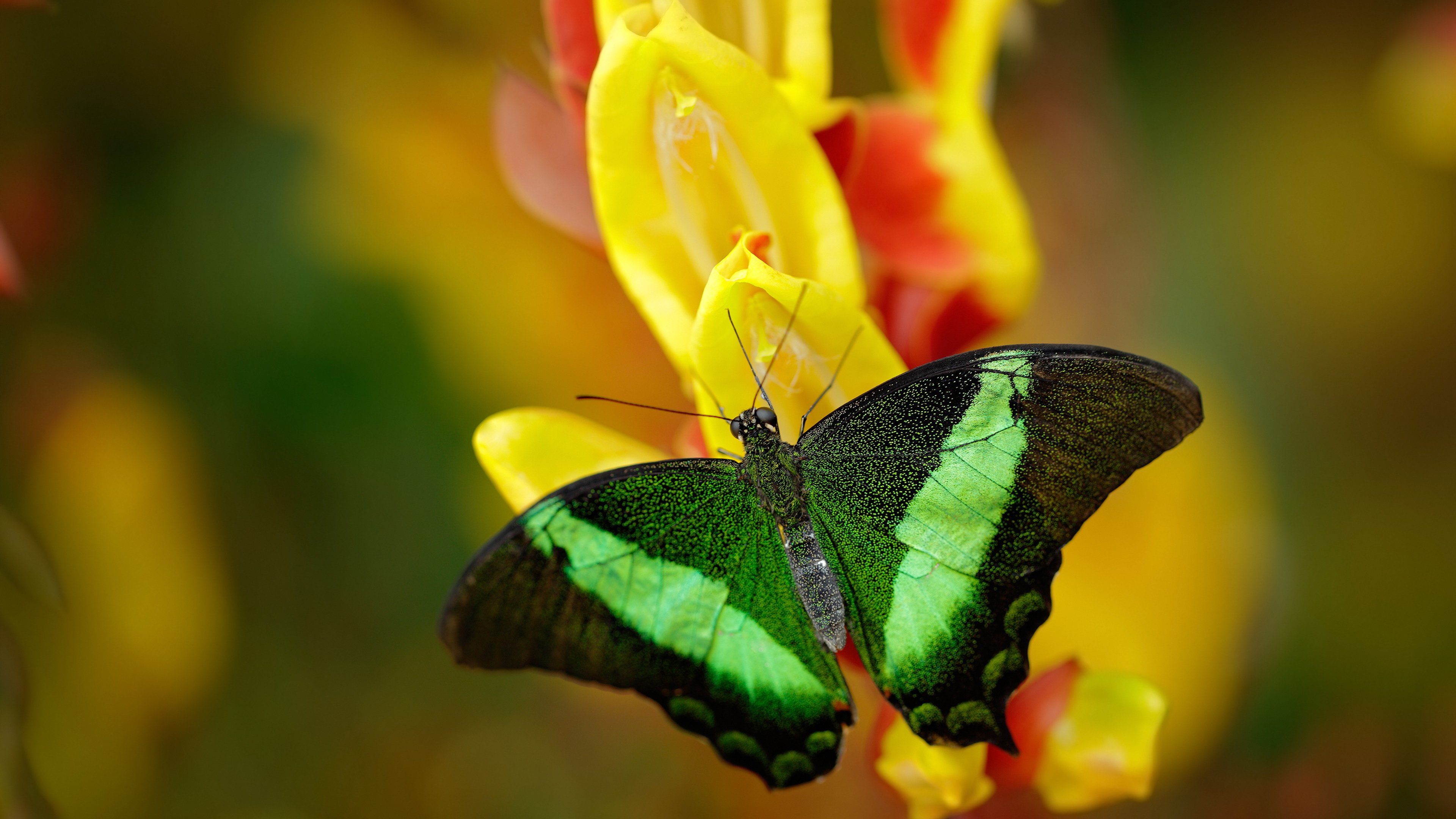 高校体育场馆对外开放政策实施现状调研，高校体育场馆管理办法