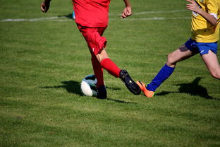 开云网页版登录入口-“拳王争霸：四川省体育馆拳击赛将诞生新的世界拳王”