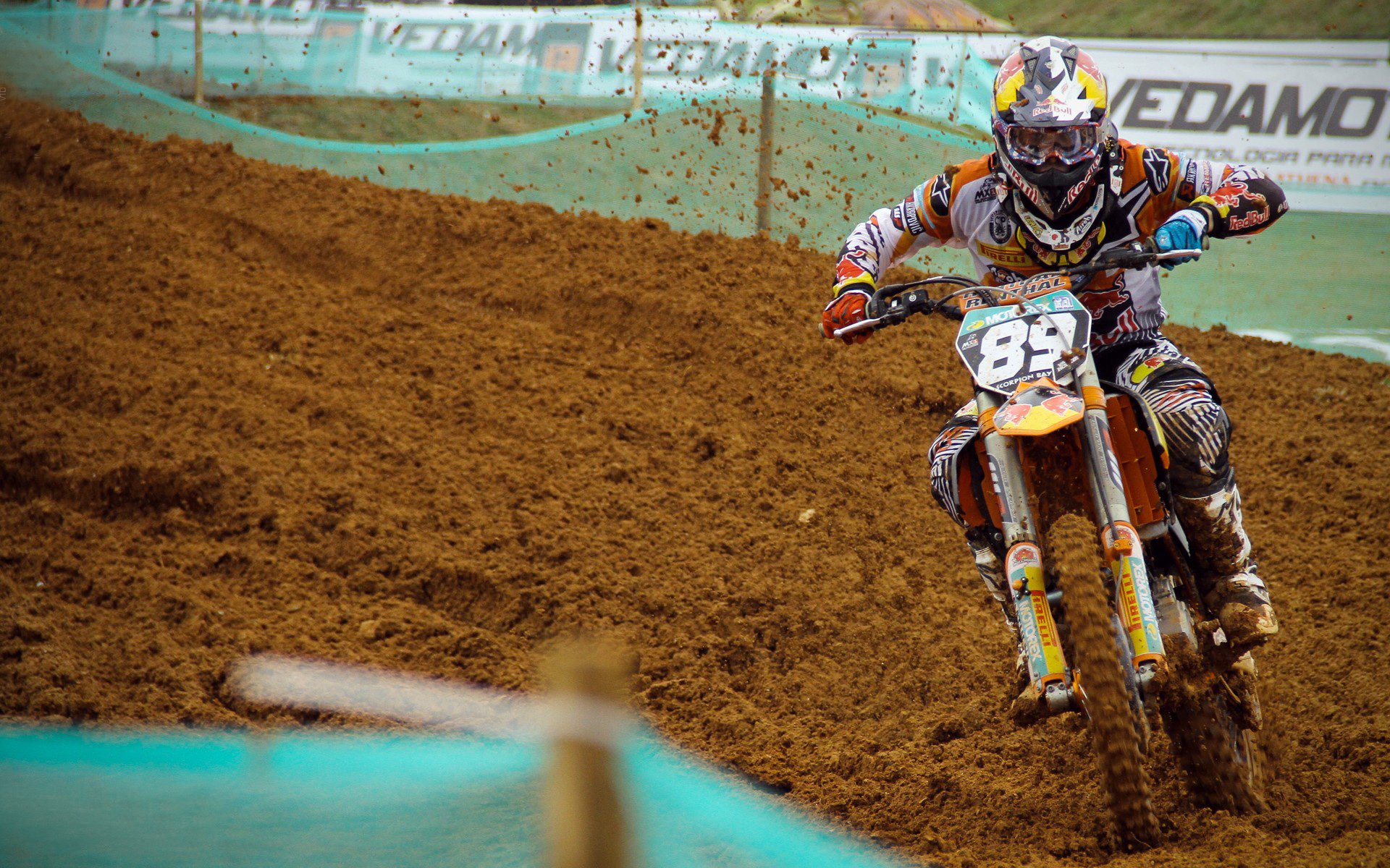 kaiyun网站-澳男泳队再迎高光时刻，澳游泳教练