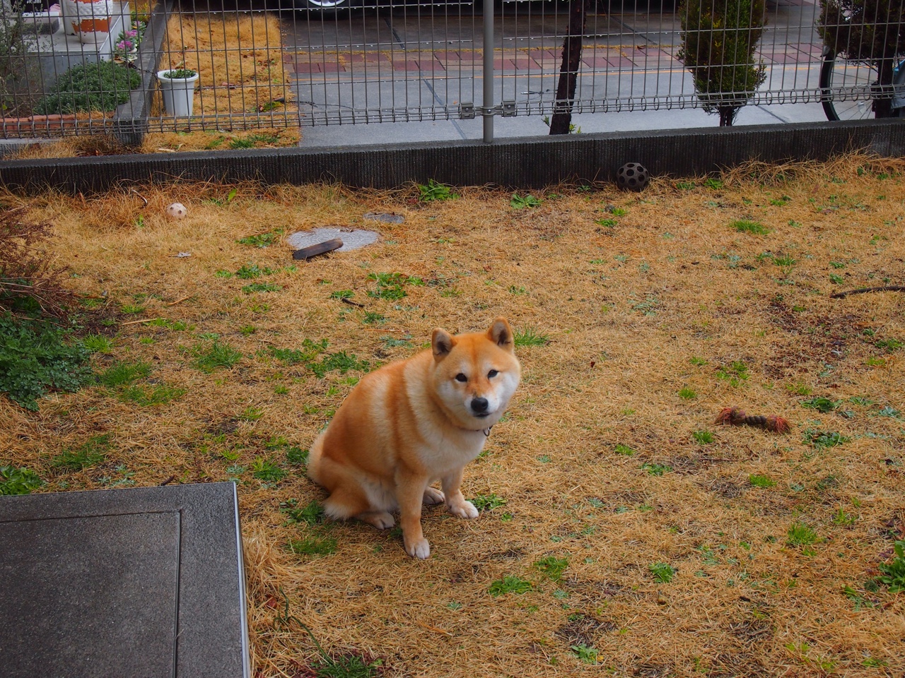 英雄联盟社区活动丰富提升用户参与热情,英雄联盟活动分享群