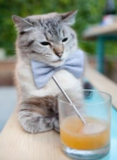 开云·体育官网-运动传感器分析提高乒乓球选手击球精准度，乒乓球拍传感器