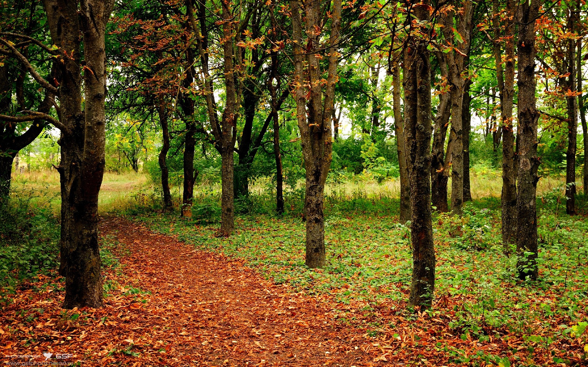 开云官网APP下载-中学篮球赛事引入裁判技术辅助提升判罚准确性，中学生篮球裁判解说视频