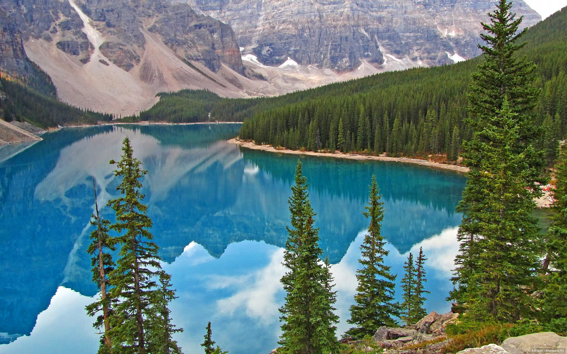 蝶泳项目波兰新秀崭露头角，speedo蝶泳视频